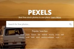 Besplatne slike za web: pristupite tisućama besplatnih fotografija